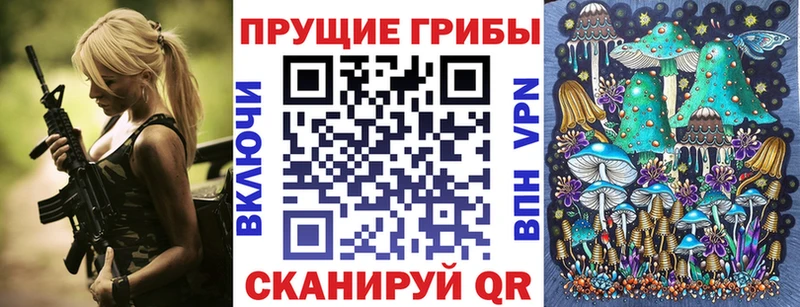 цены   Топки  Галлюциногенные грибы Psilocybe 